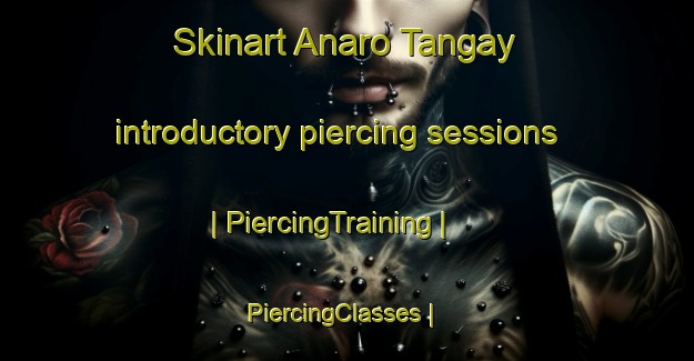 Skinart Anaro Tangay introductory piercing sessions | PiercingTraining | PiercingClasses | SkinartTraining-Afghanistan
